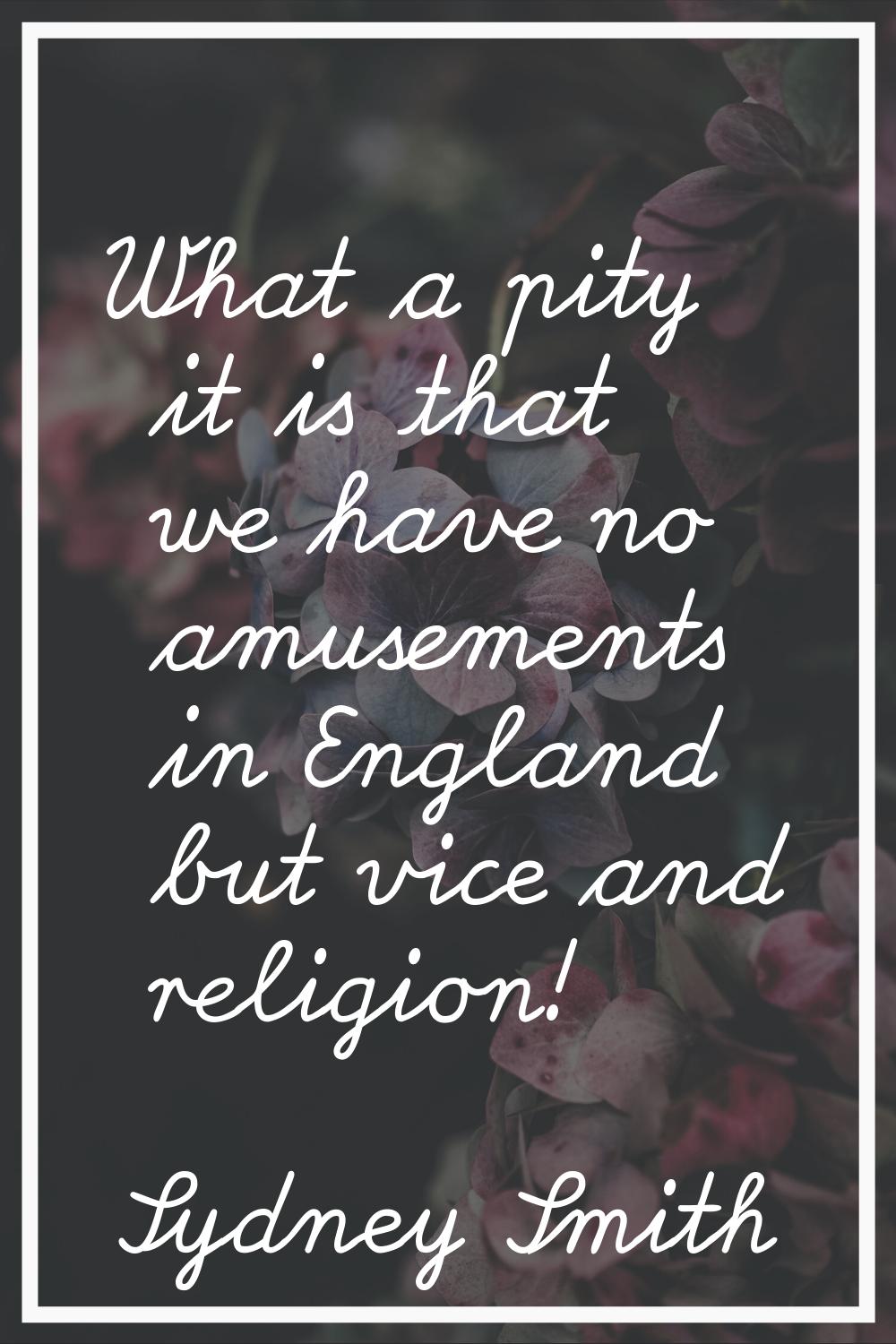What a pity it is that we have no amusements in England but vice and religion!