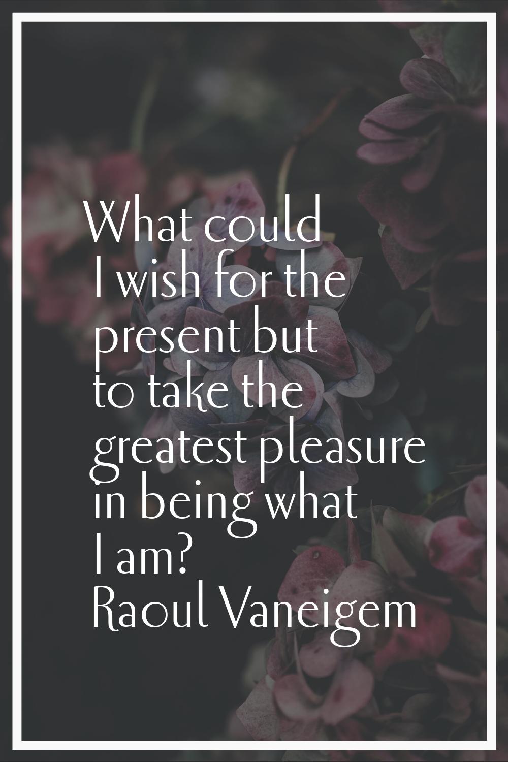 What could I wish for the present but to take the greatest pleasure in being what I am?
