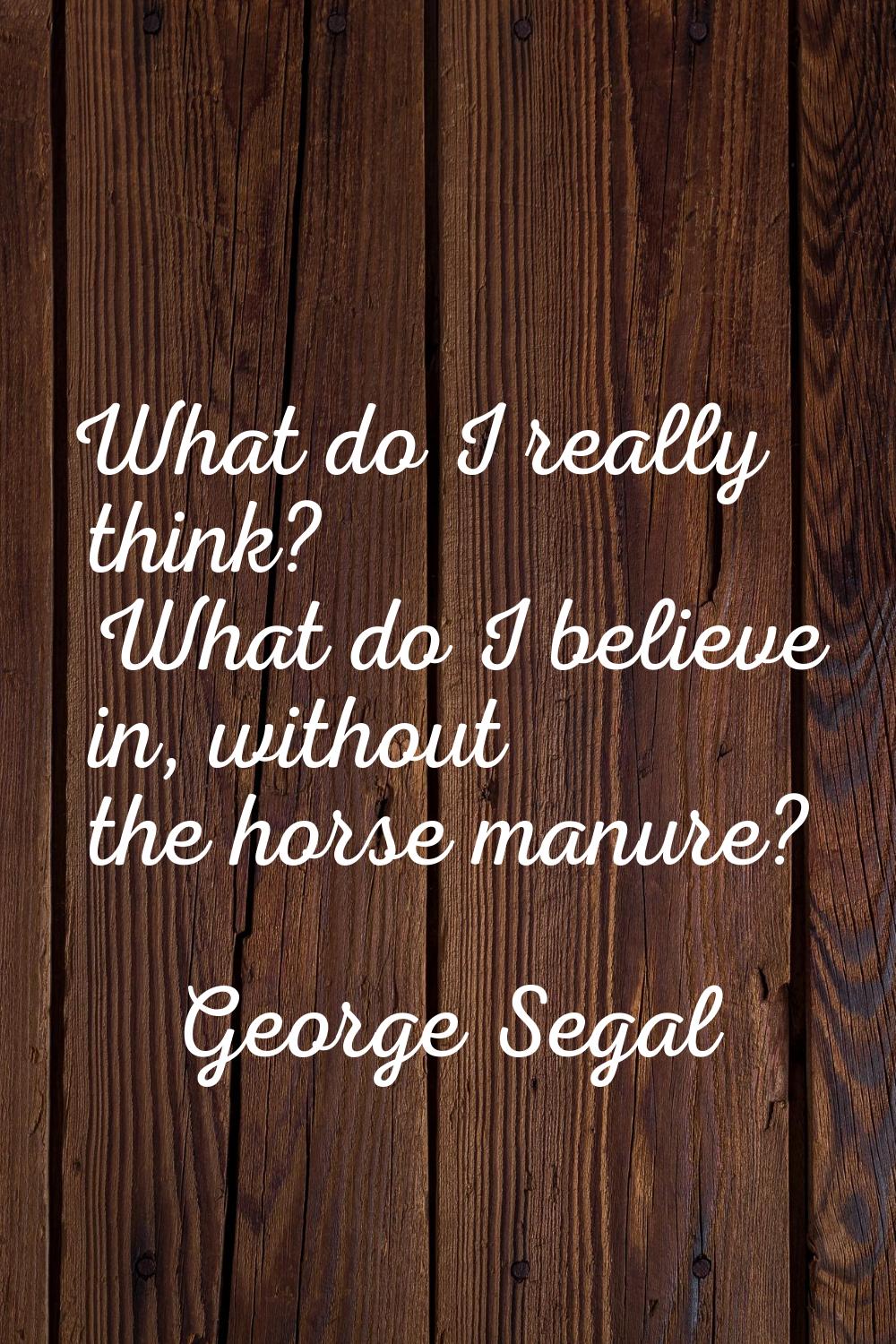 What do I really think? What do I believe in, without the horse manure?