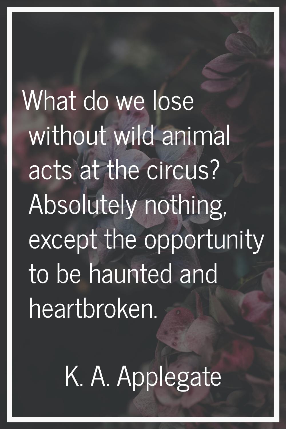 What do we lose without wild animal acts at the circus? Absolutely nothing, except the opportunity 