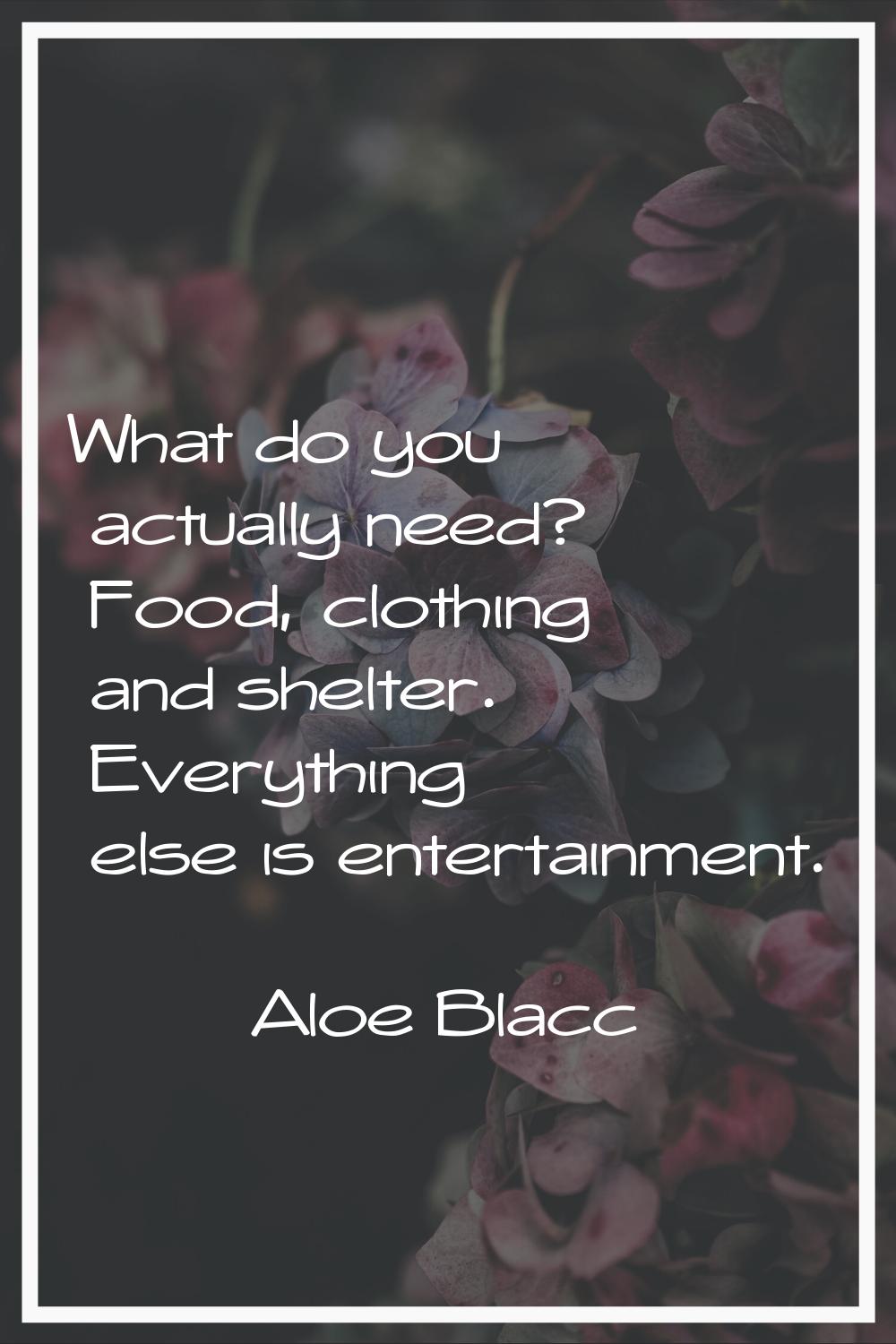 What do you actually need? Food, clothing and shelter. Everything else is entertainment.