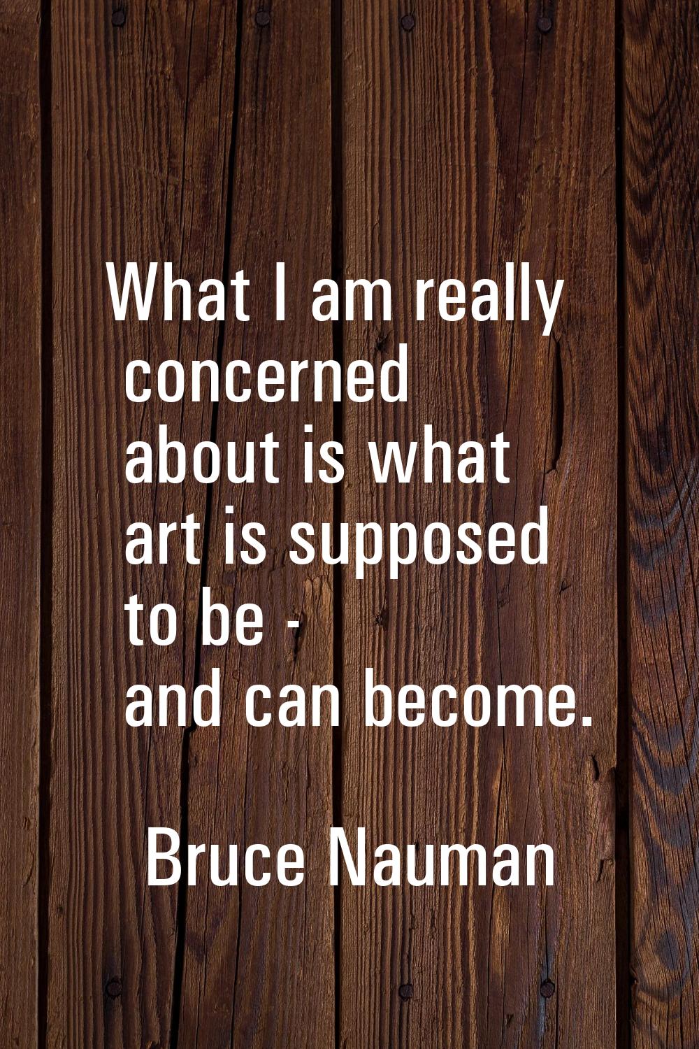 What I am really concerned about is what art is supposed to be - and can become.