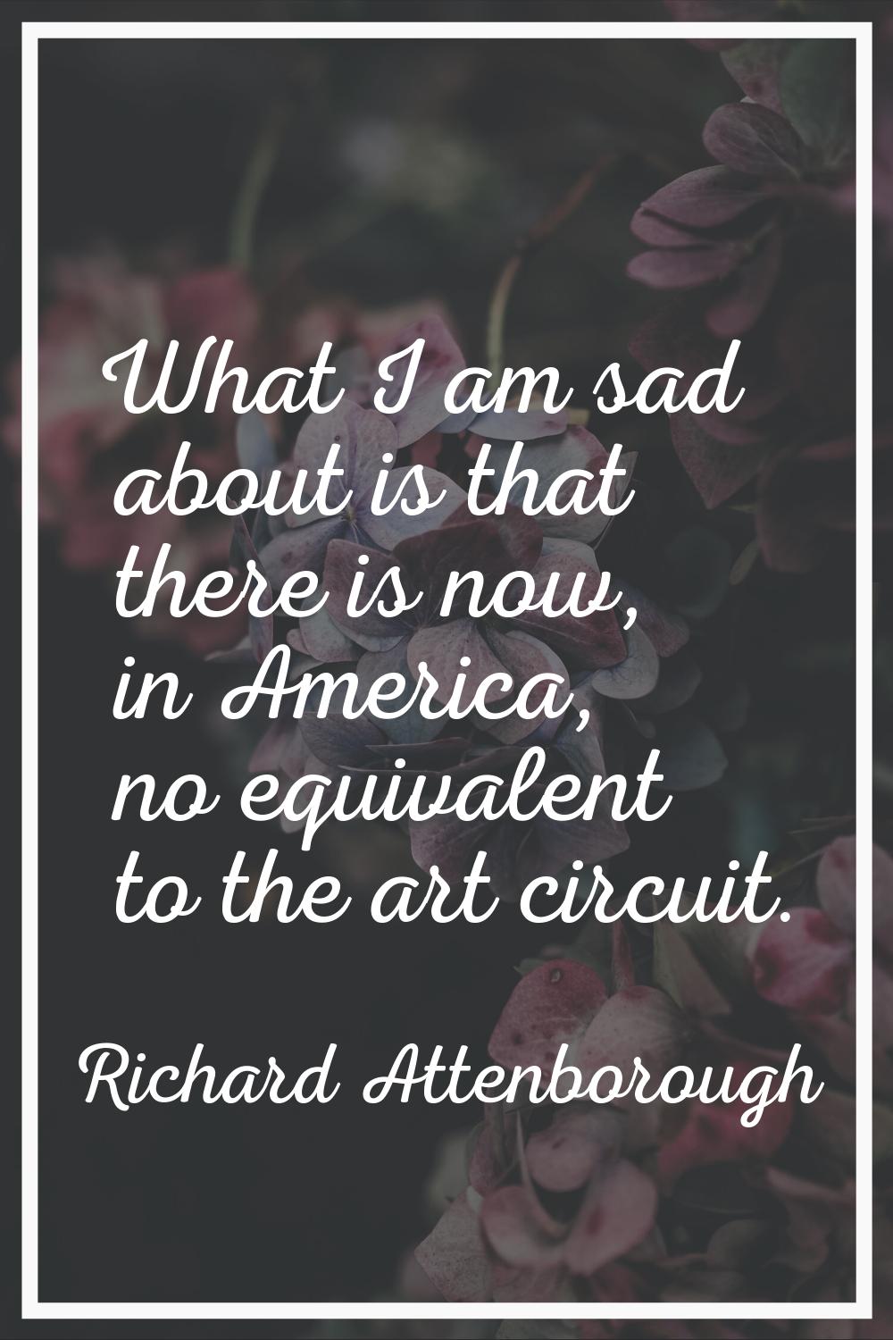 What I am sad about is that there is now, in America, no equivalent to the art circuit.
