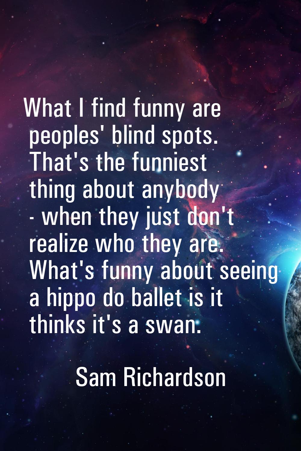 What I find funny are peoples' blind spots. That's the funniest thing about anybody - when they jus