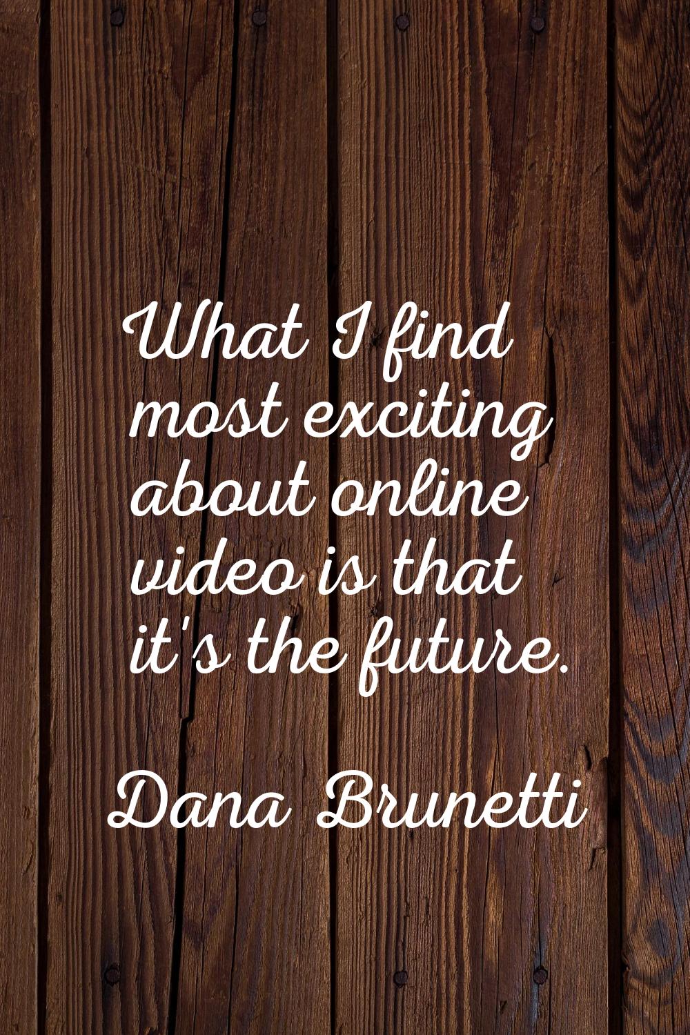 What I find most exciting about online video is that it's the future.