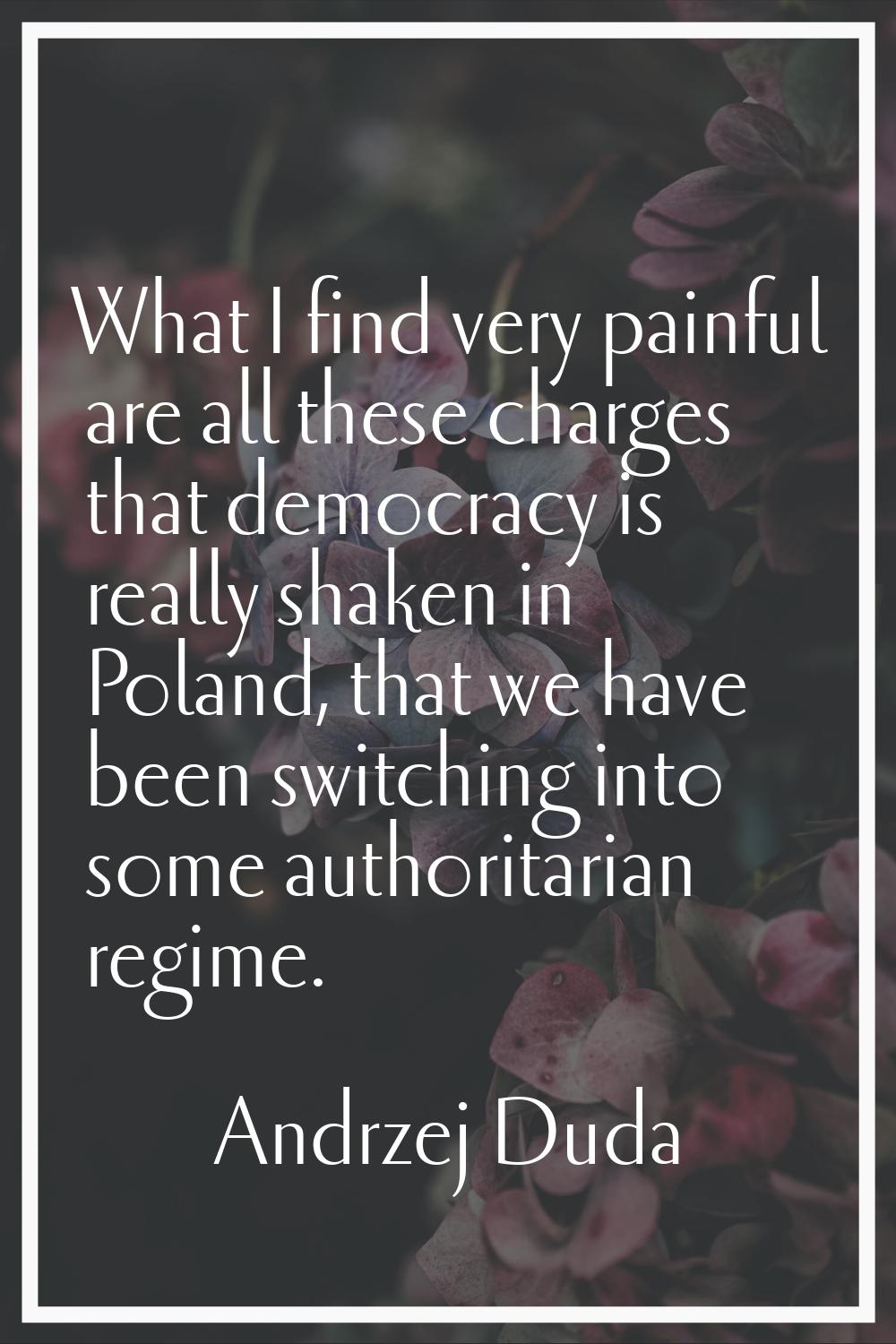What I find very painful are all these charges that democracy is really shaken in Poland, that we h