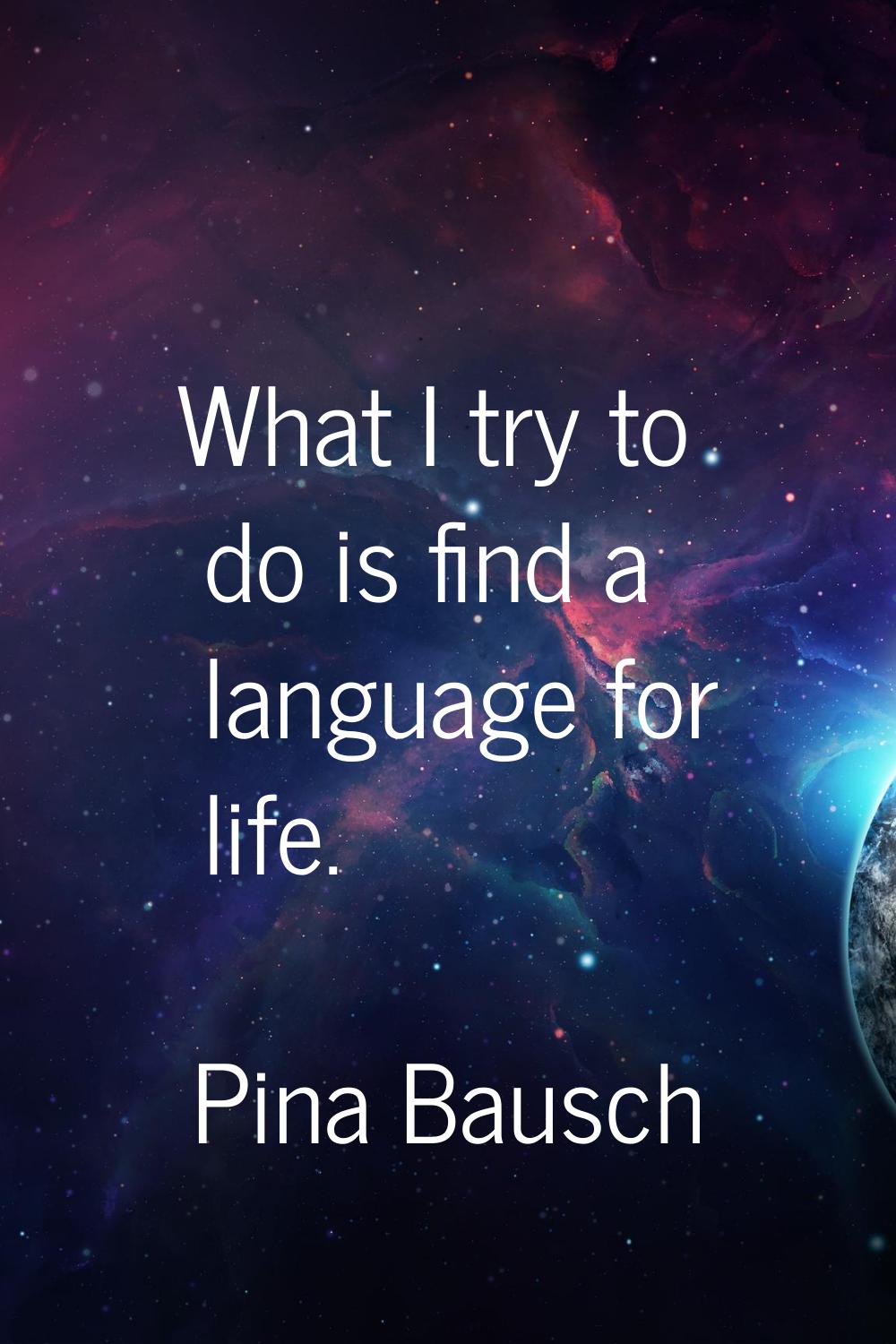 What I try to do is find a language for life.