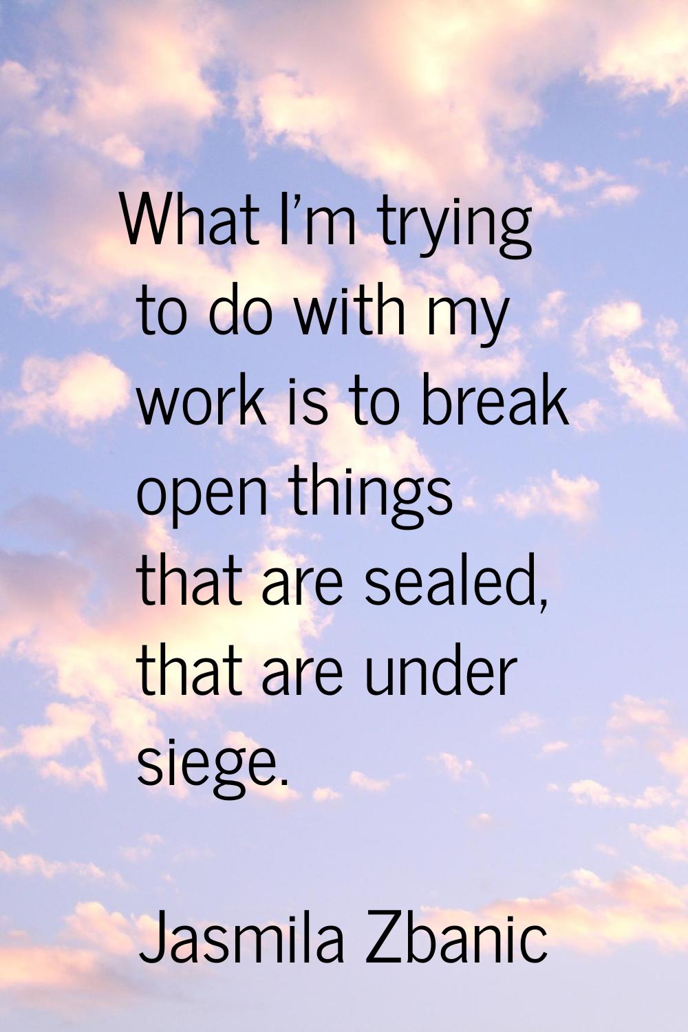 What I'm trying to do with my work is to break open things that are sealed, that are under siege.