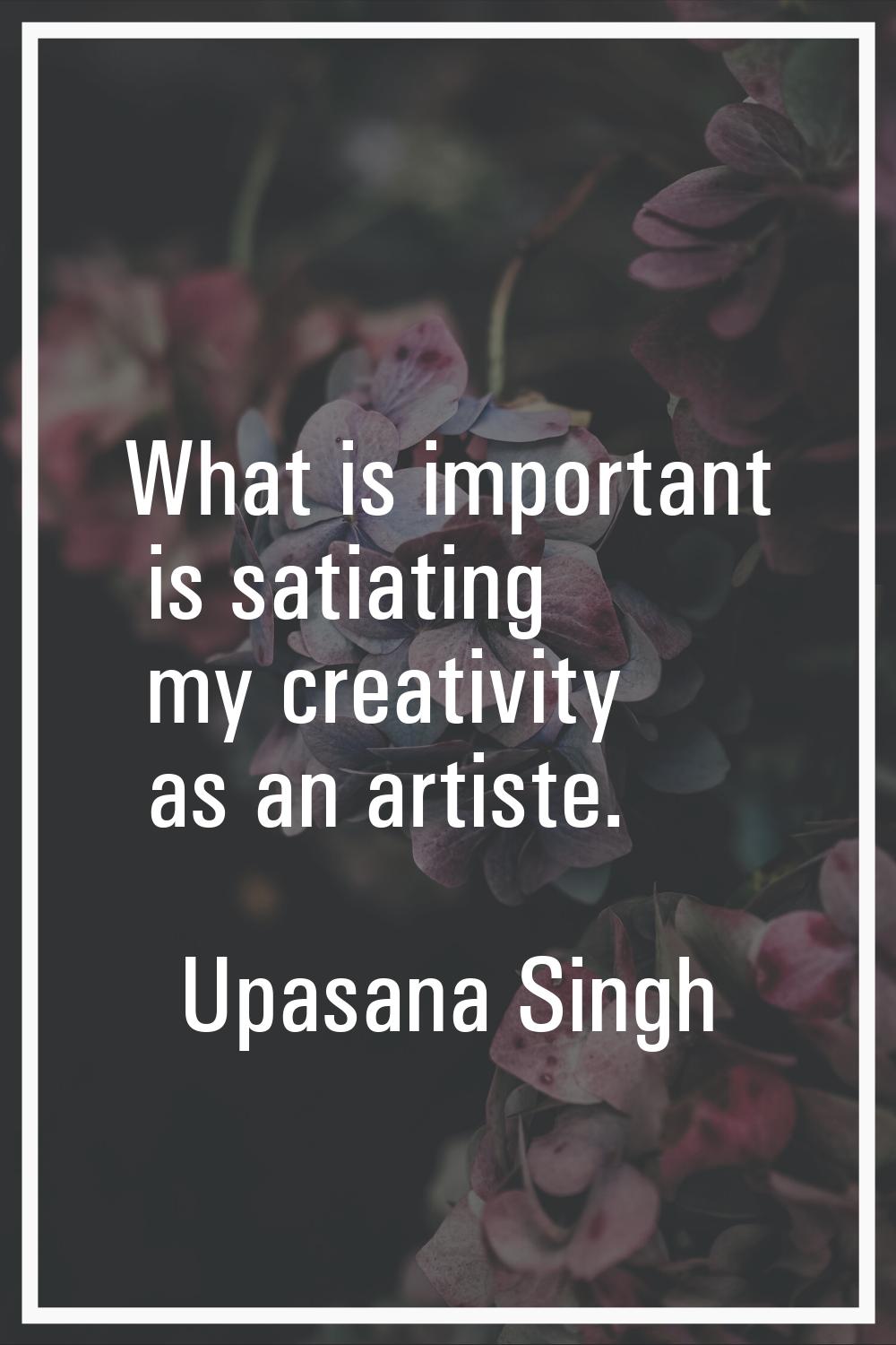 What is important is satiating my creativity as an artiste.