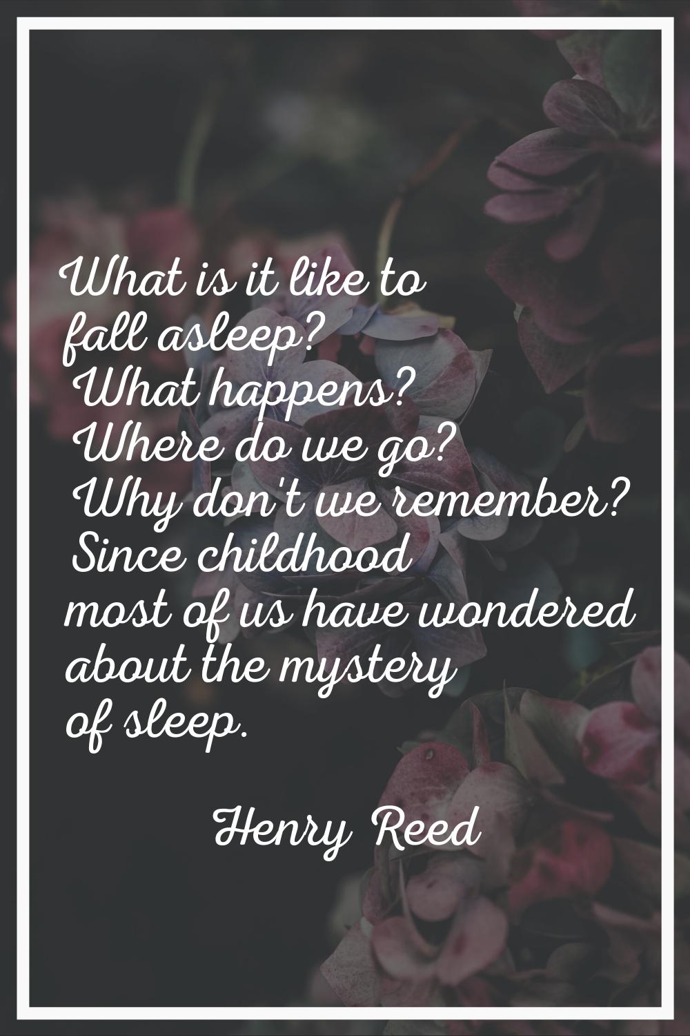 What is it like to fall asleep? What happens? Where do we go? Why don't we remember? Since childhoo