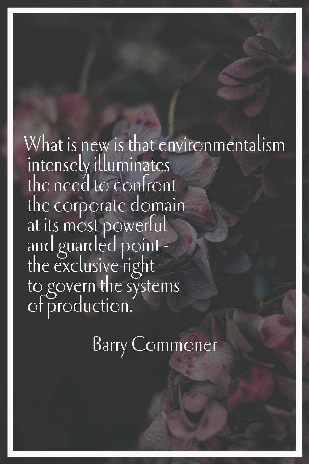 What is new is that environmentalism intensely illuminates the need to confront the corporate domai