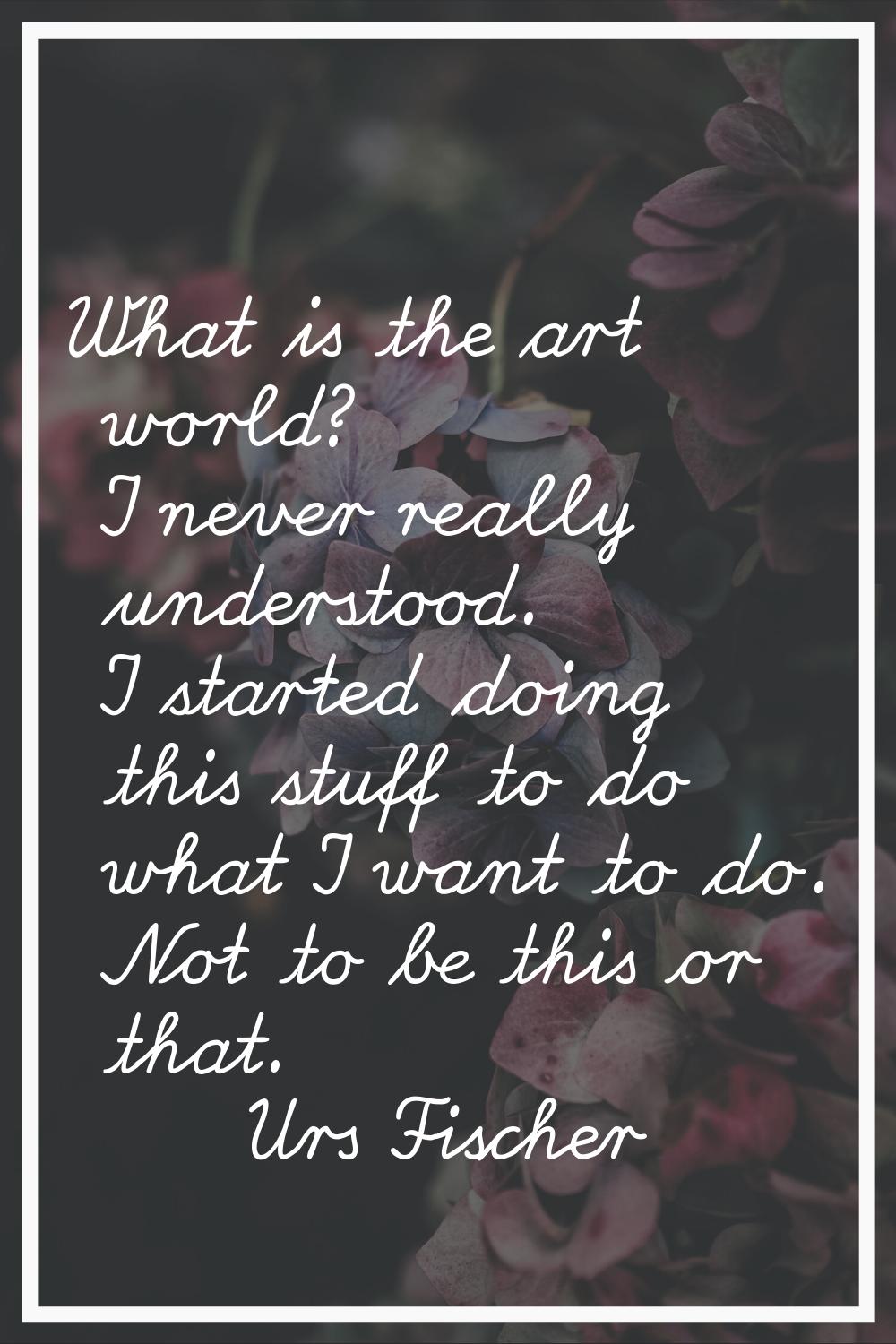 What is the art world? I never really understood. I started doing this stuff to do what I want to d