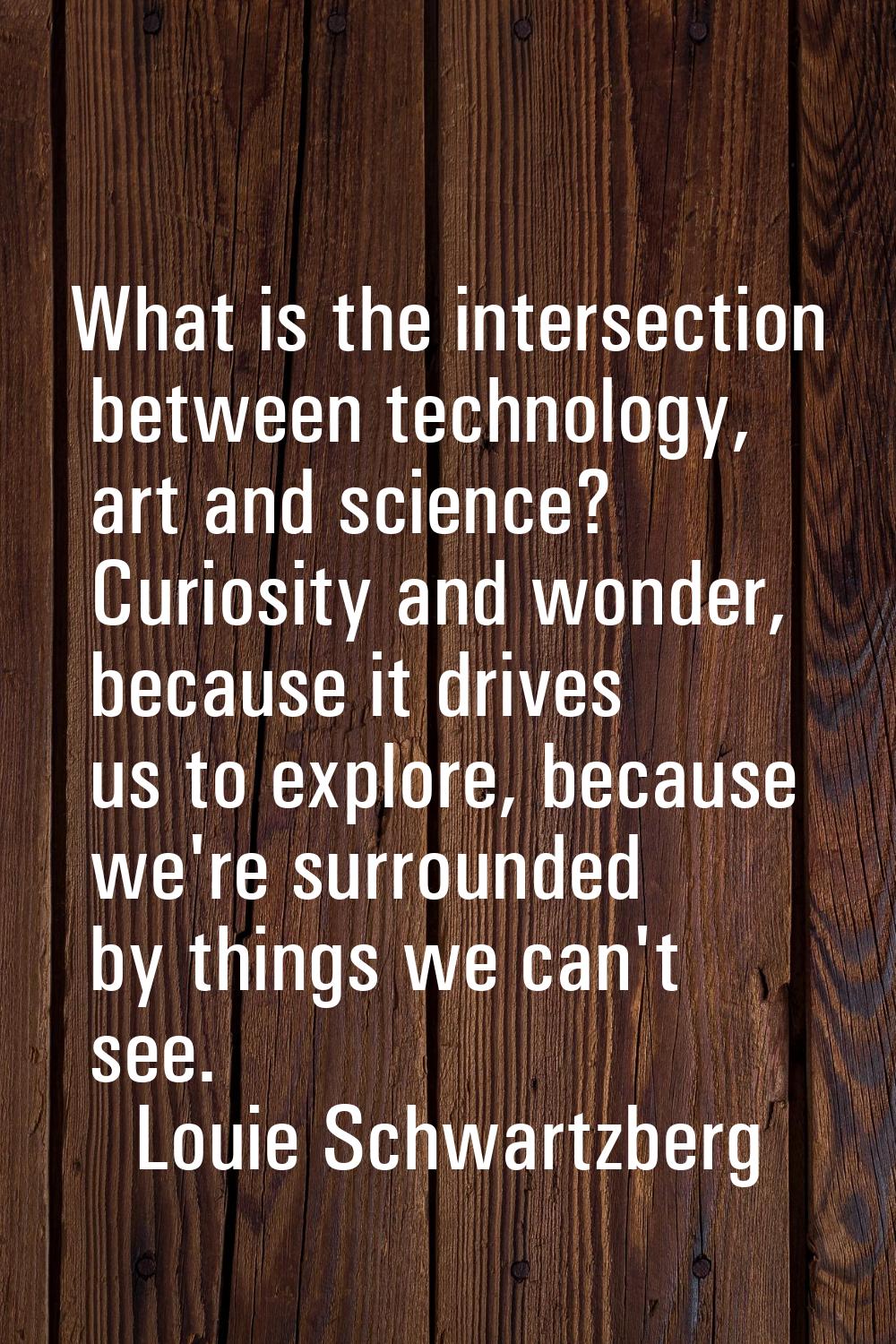 What is the intersection between technology, art and science? Curiosity and wonder, because it driv