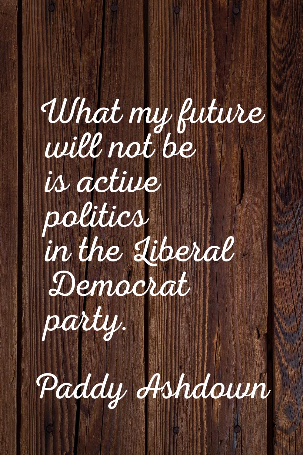 What my future will not be is active politics in the Liberal Democrat party.