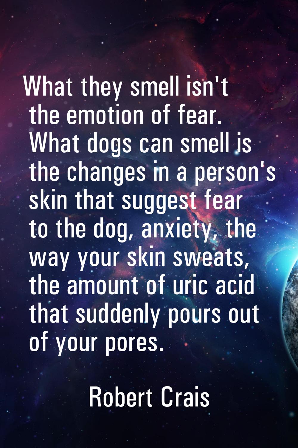What they smell isn't the emotion of fear. What dogs can smell is the changes in a person's skin th