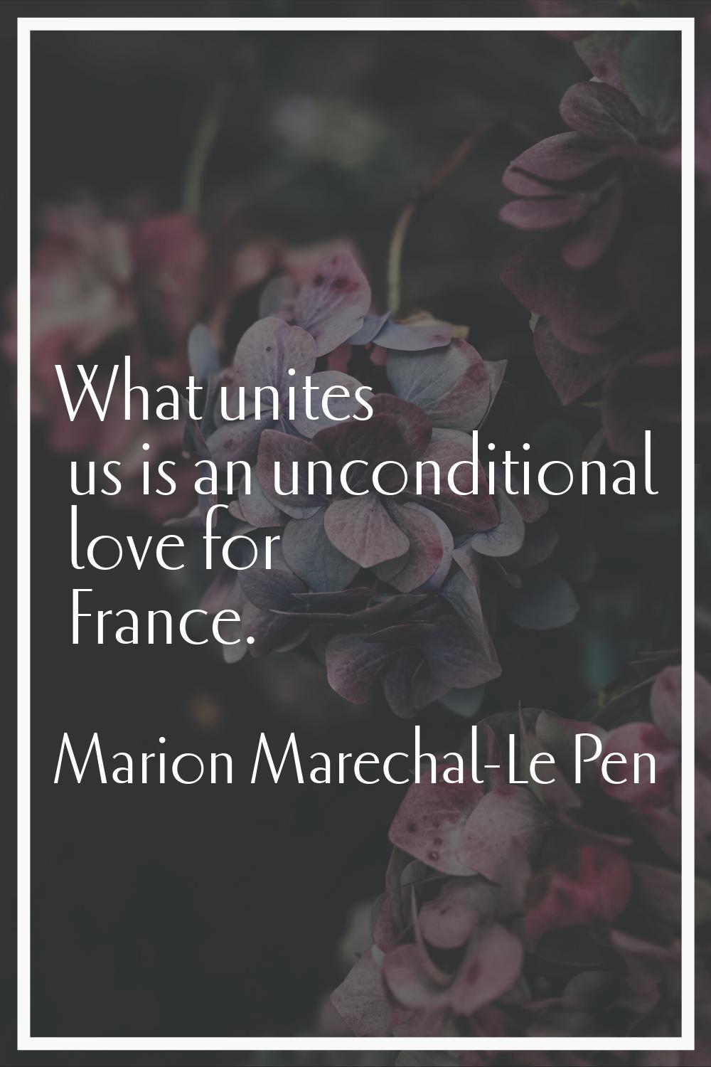 What unites us is an unconditional love for France.