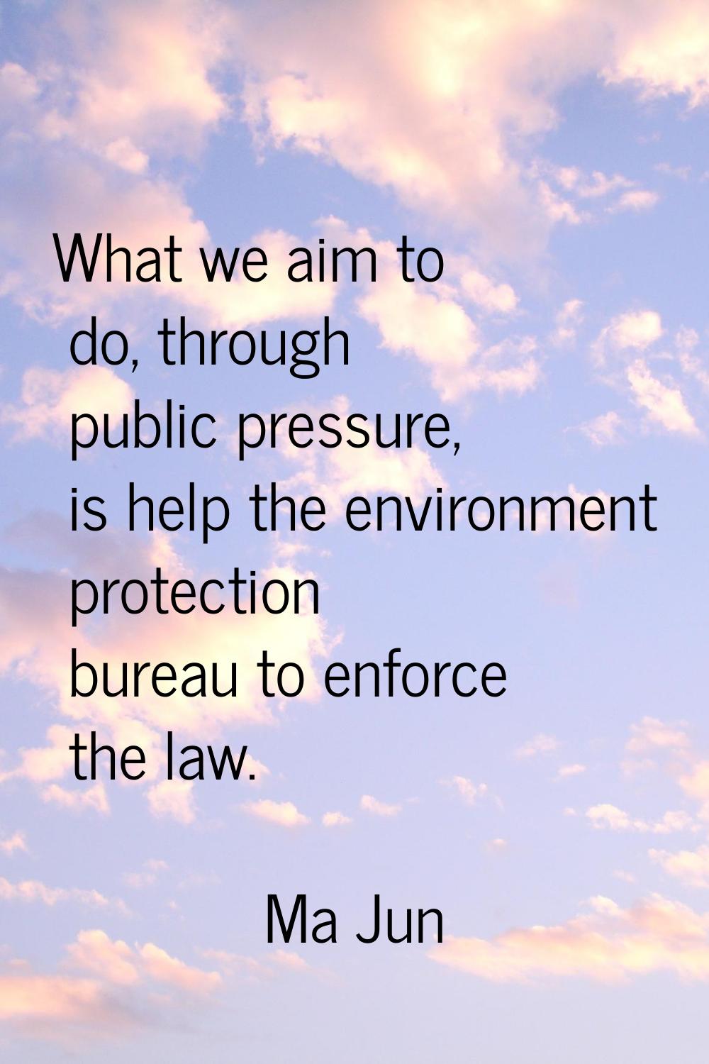 What we aim to do, through public pressure, is help the environment protection bureau to enforce th