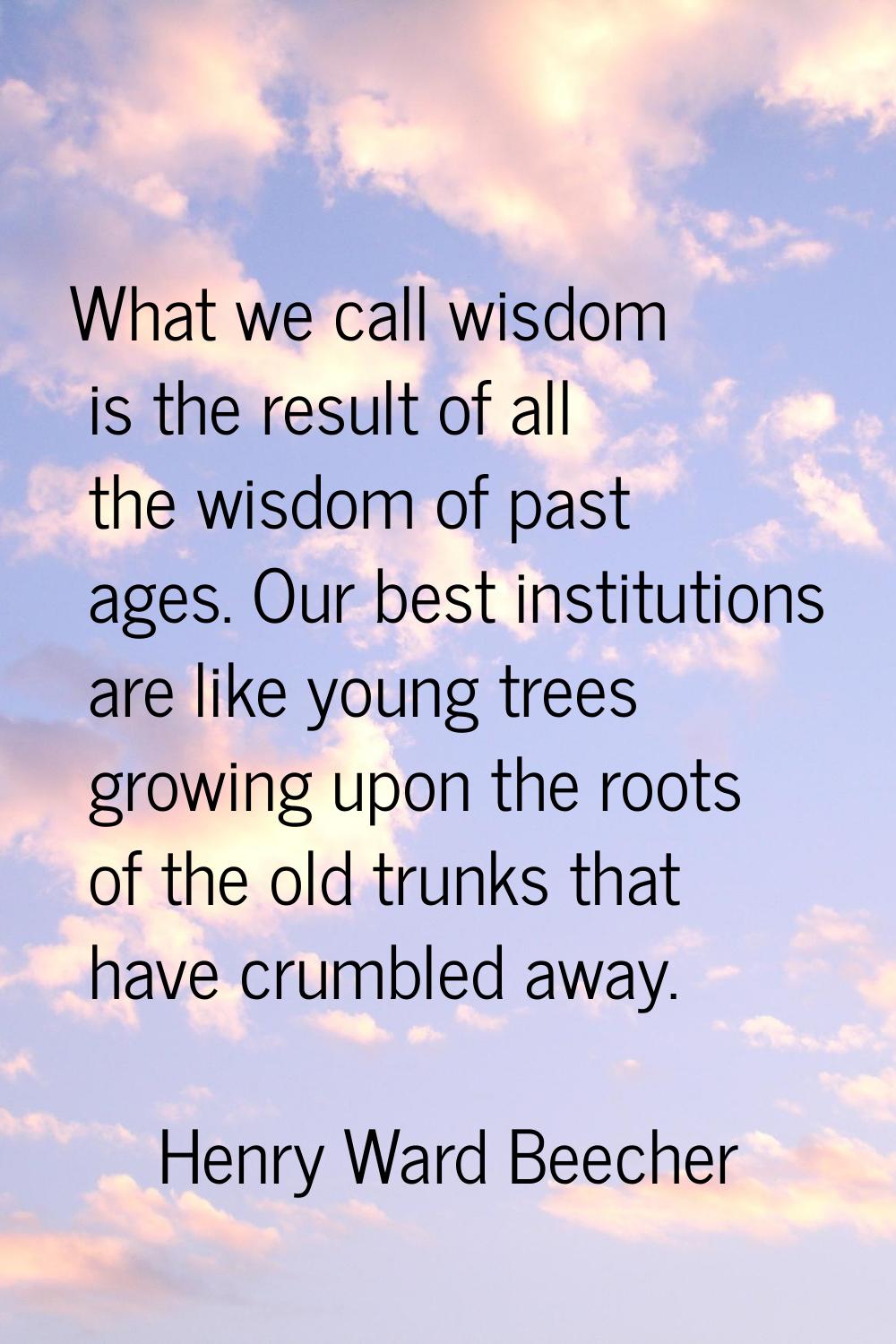 What we call wisdom is the result of all the wisdom of past ages. Our best institutions are like yo