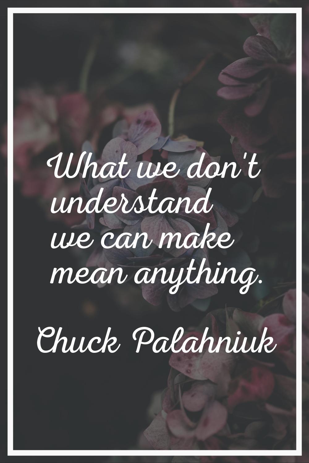 What we don't understand we can make mean anything.