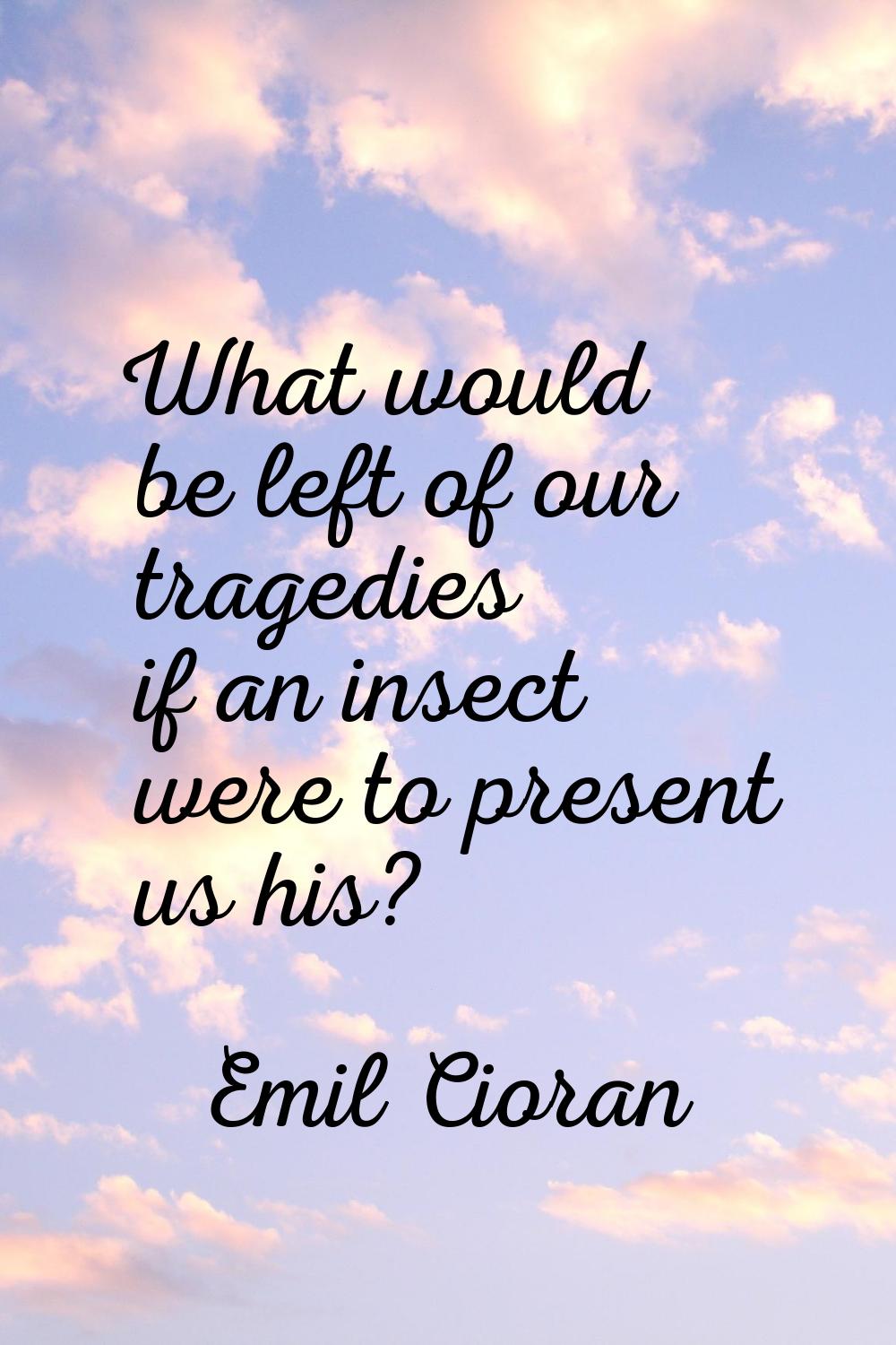 What would be left of our tragedies if an insect were to present us his?
