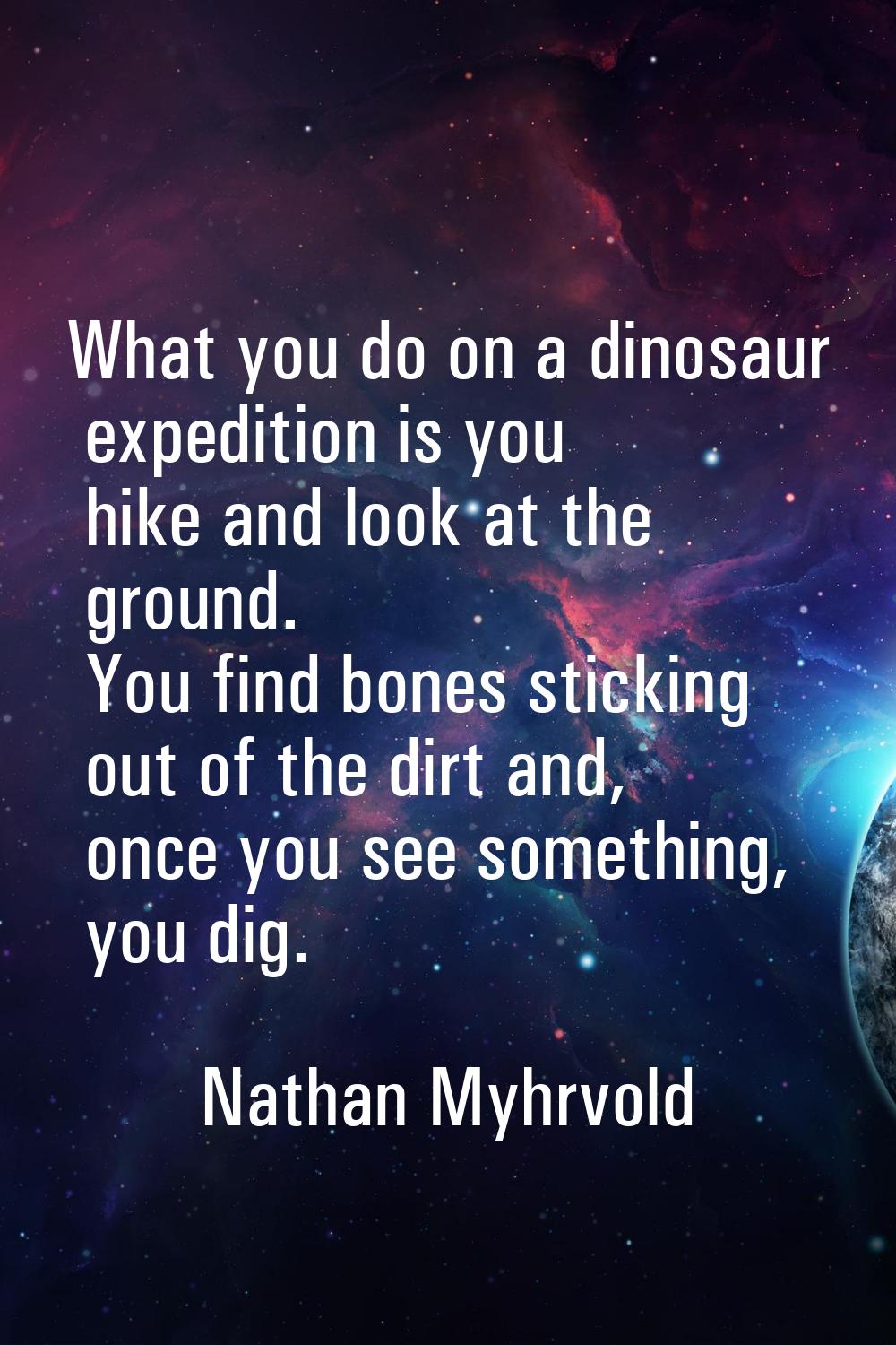 What you do on a dinosaur expedition is you hike and look at the ground. You find bones sticking ou