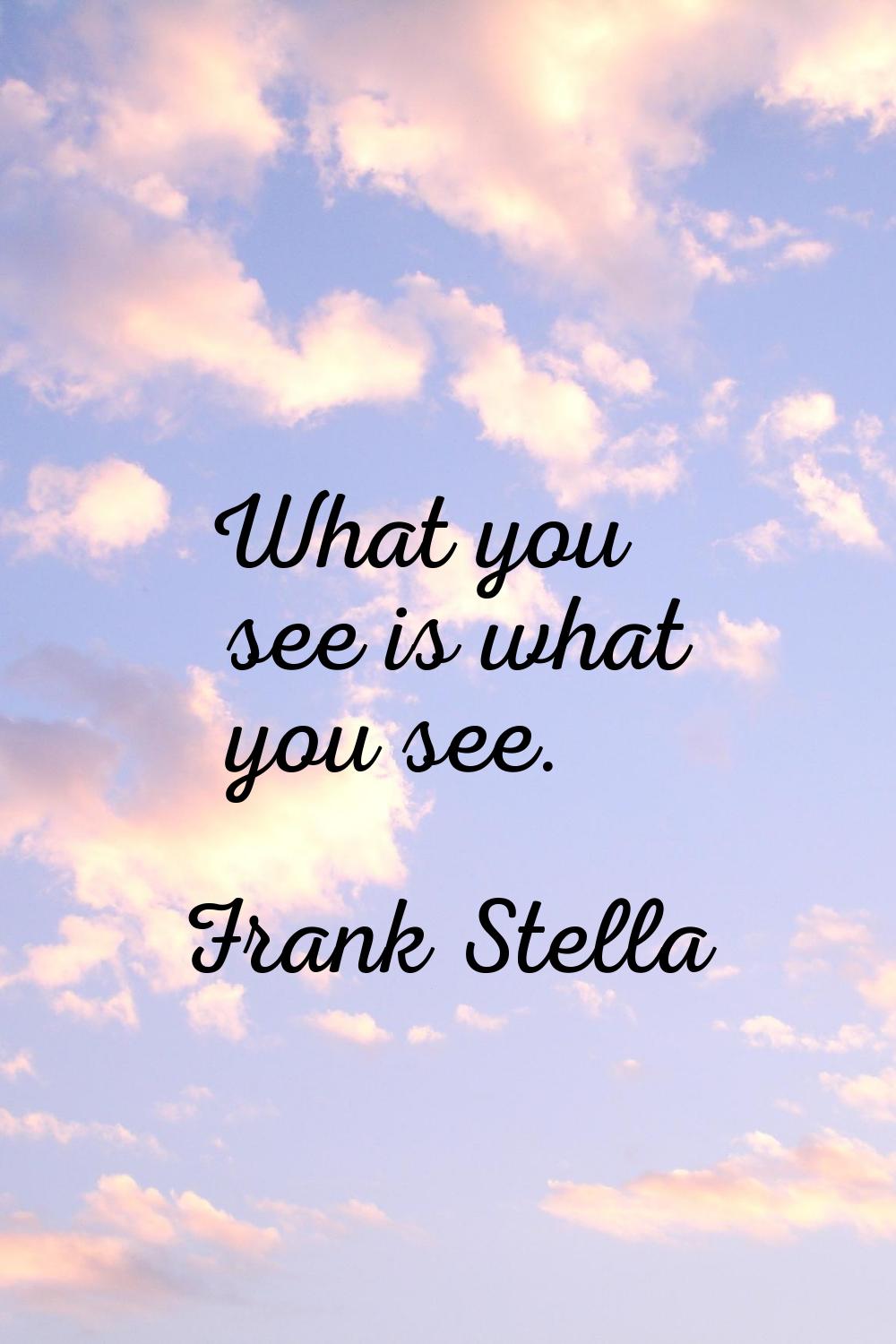 What you see is what you see.