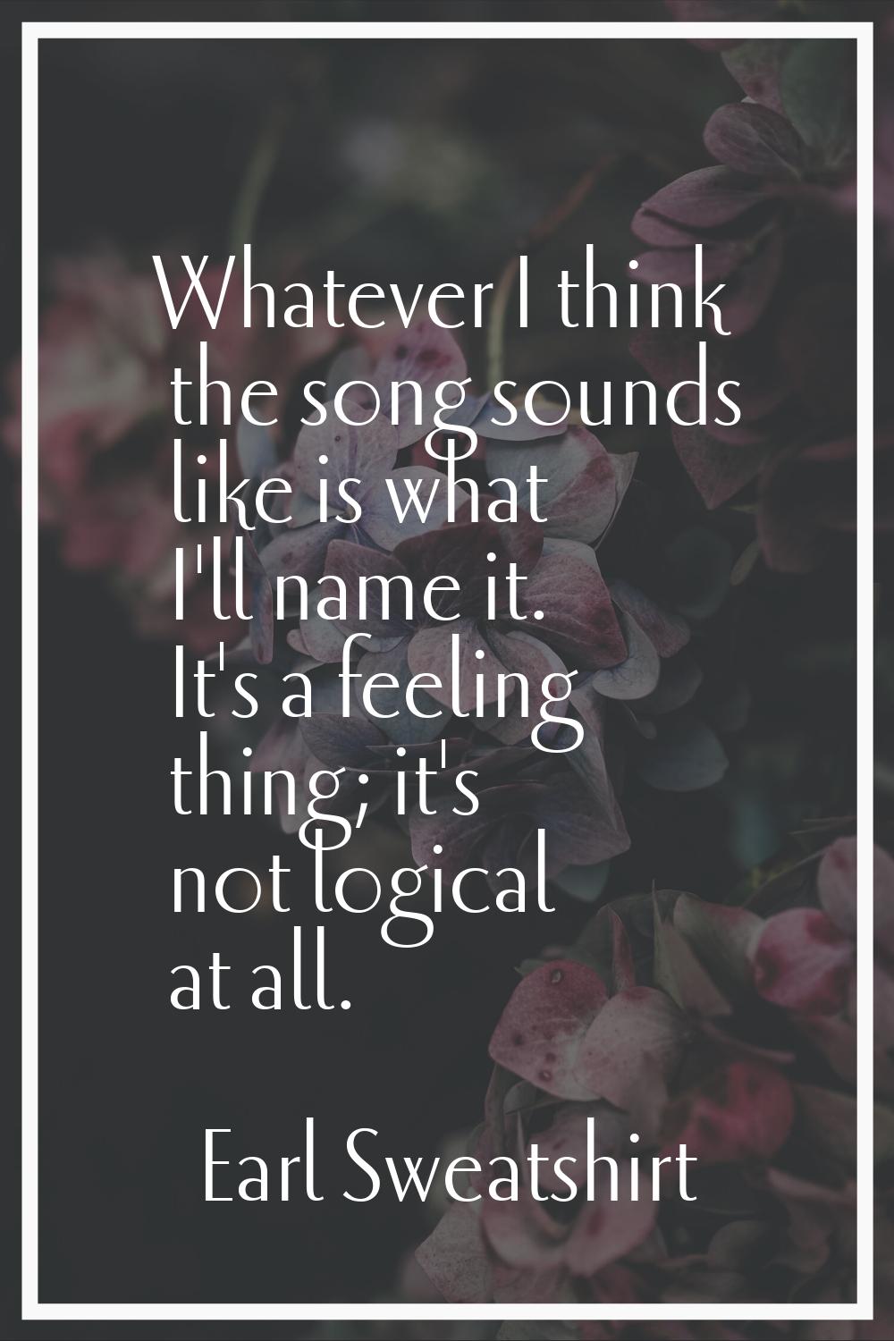 Whatever I think the song sounds like is what I'll name it. It's a feeling thing; it's not logical 