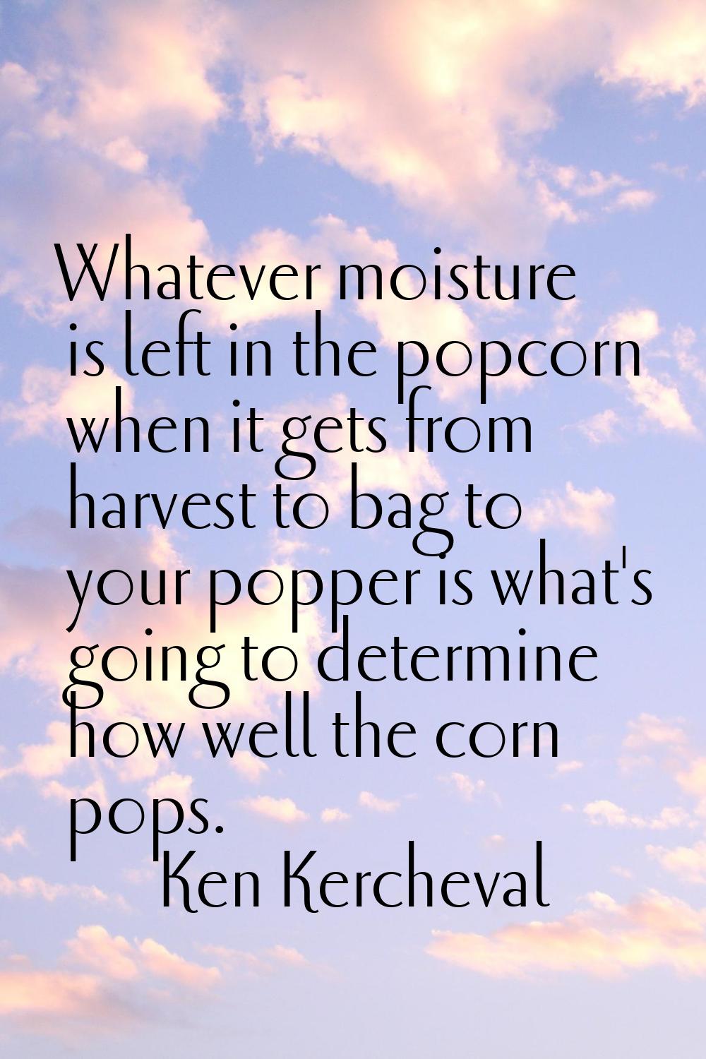 Whatever moisture is left in the popcorn when it gets from harvest to bag to your popper is what's 