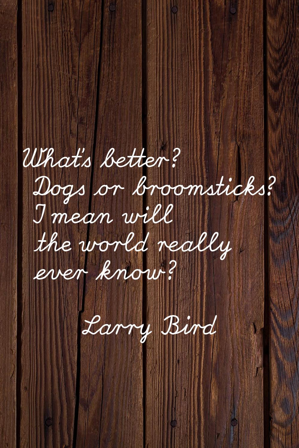 What's better? Dogs or broomsticks? I mean will the world really ever know?