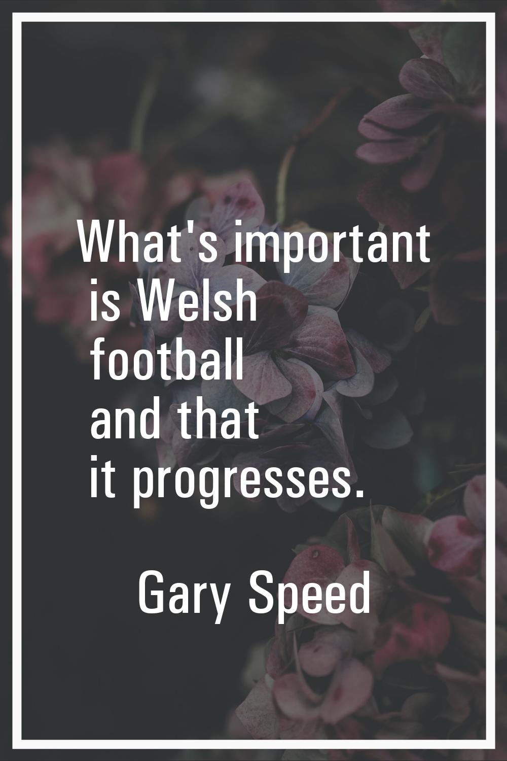 What's important is Welsh football and that it progresses.