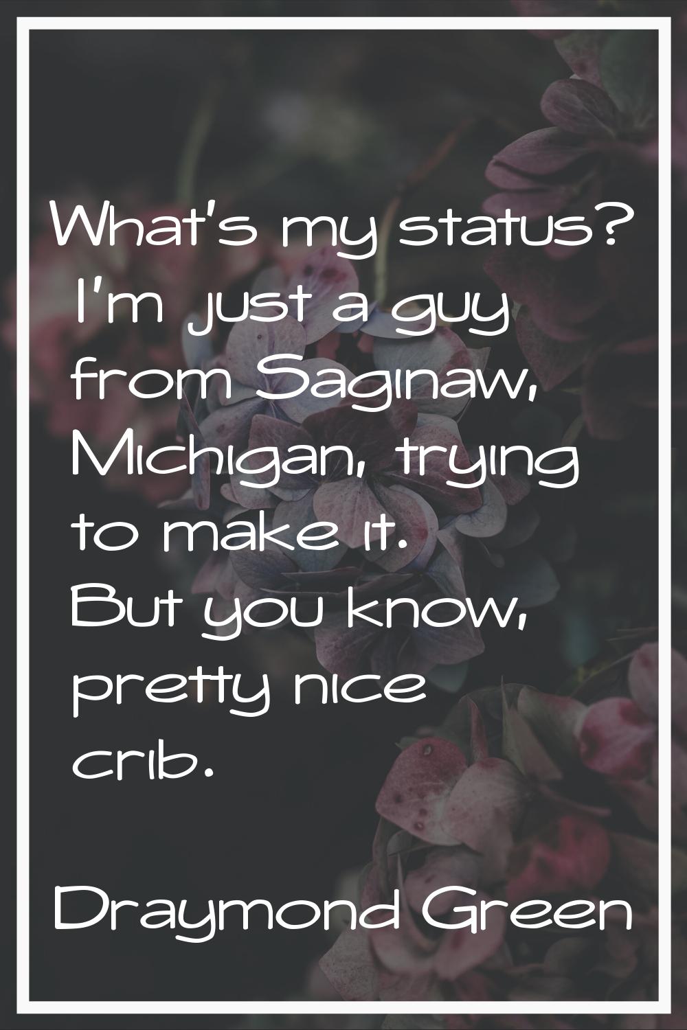 What's my status? I'm just a guy from Saginaw, Michigan, trying to make it. But you know, pretty ni
