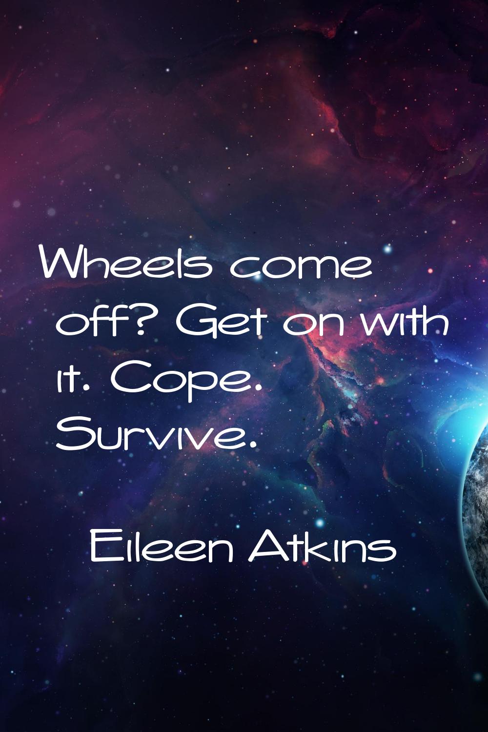 Wheels come off? Get on with it. Cope. Survive.