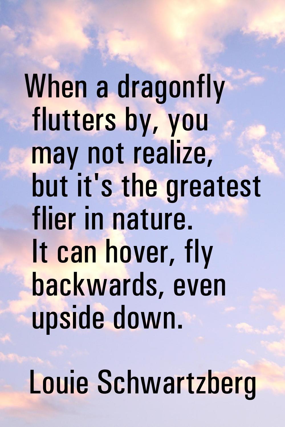 When a dragonfly flutters by, you may not realize, but it's the greatest flier in nature. It can ho