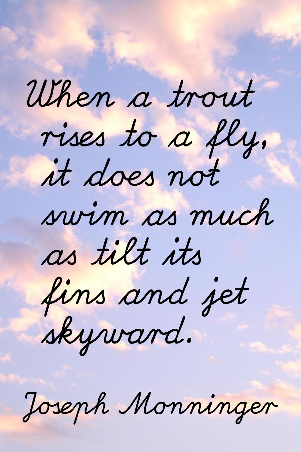 When a trout rises to a fly, it does not swim as much as tilt its fins and jet skyward.