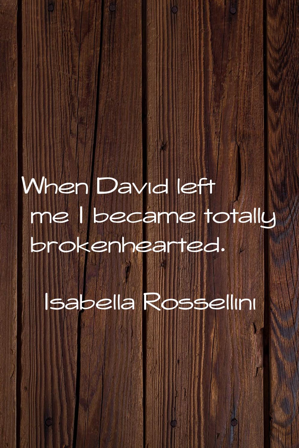 When David left me I became totally brokenhearted.