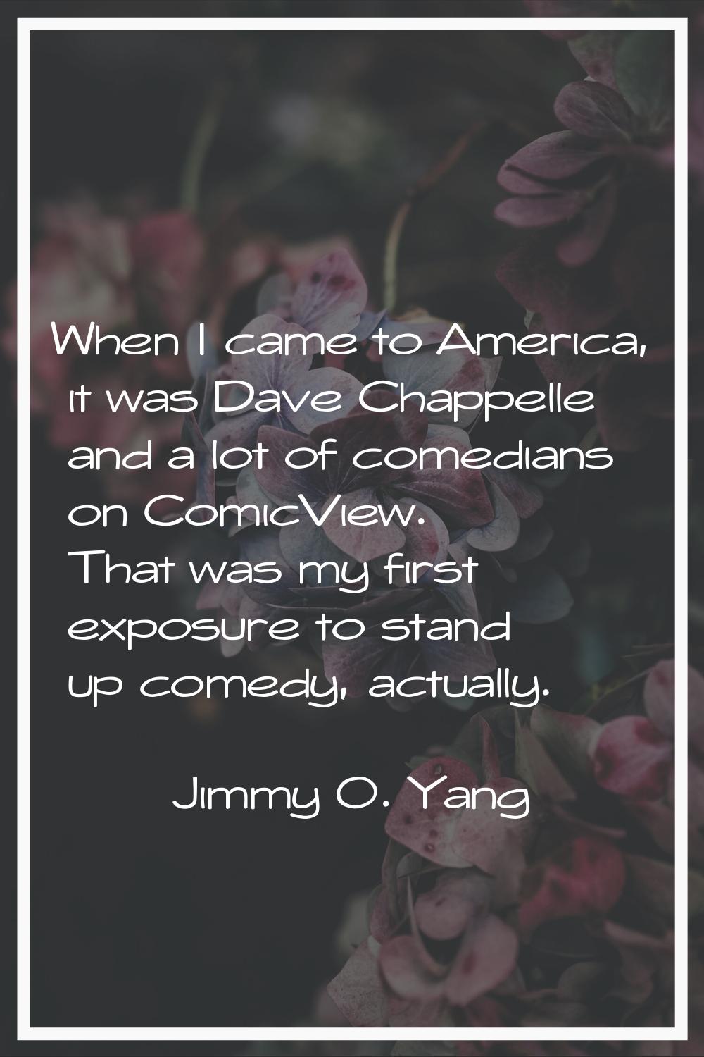 When I came to America, it was Dave Chappelle and a lot of comedians on ComicView. That was my firs