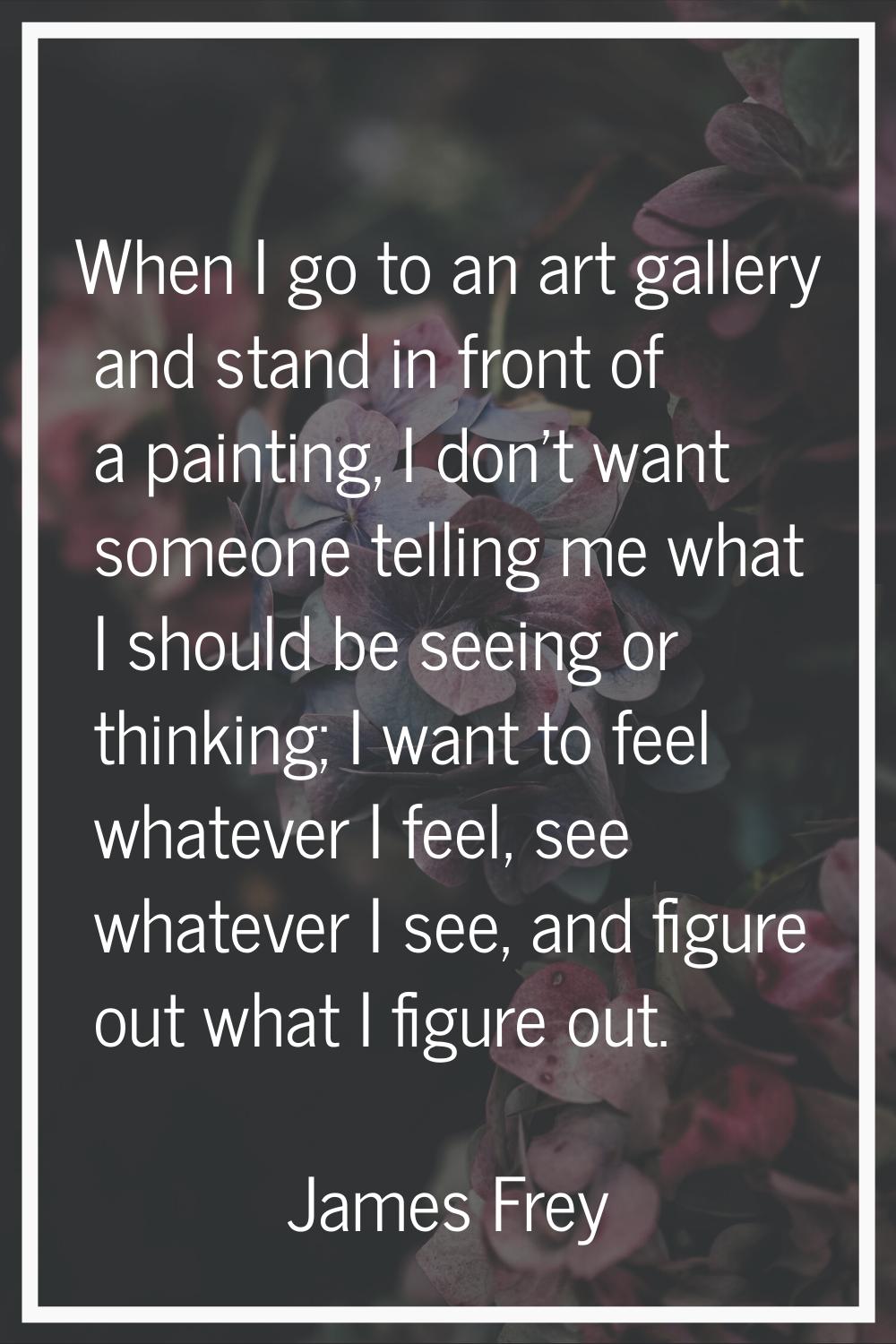 When I go to an art gallery and stand in front of a painting, I don't want someone telling me what 