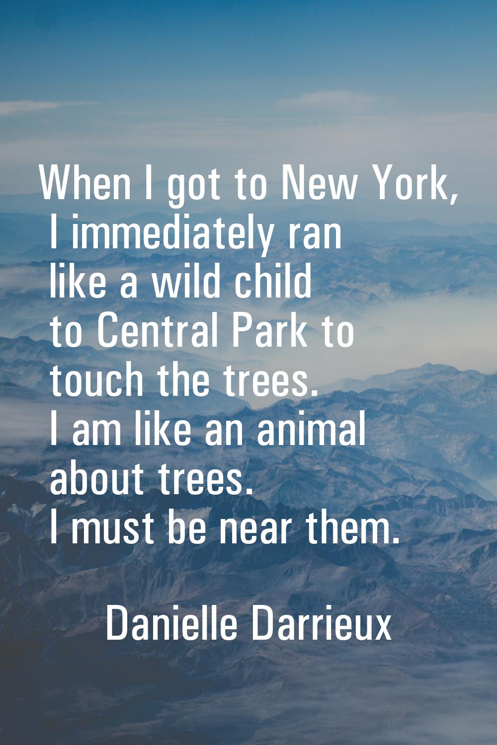 When I got to New York, I immediately ran like a wild child to Central Park to touch the trees. I a