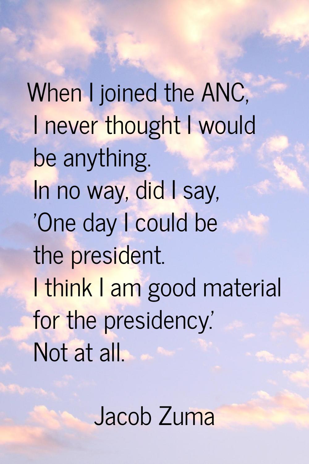 When I joined the ANC, I never thought I would be anything. In no way, did I say, 'One day I could 