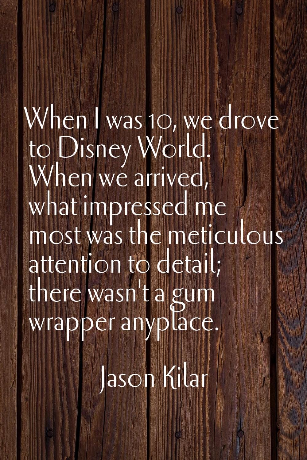 When I was 10, we drove to Disney World. When we arrived, what impressed me most was the meticulous