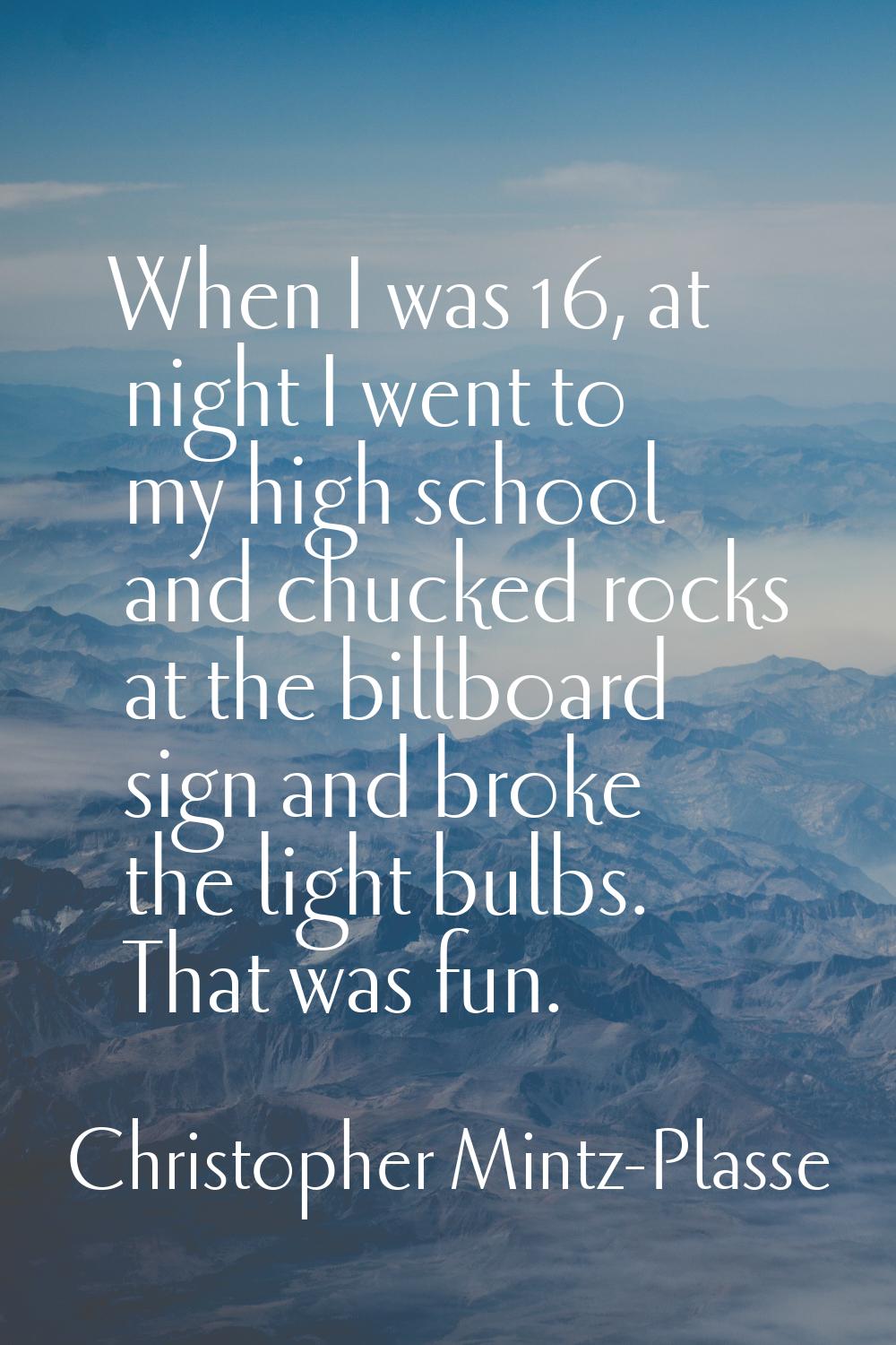 When I was 16, at night I went to my high school and chucked rocks at the billboard sign and broke 