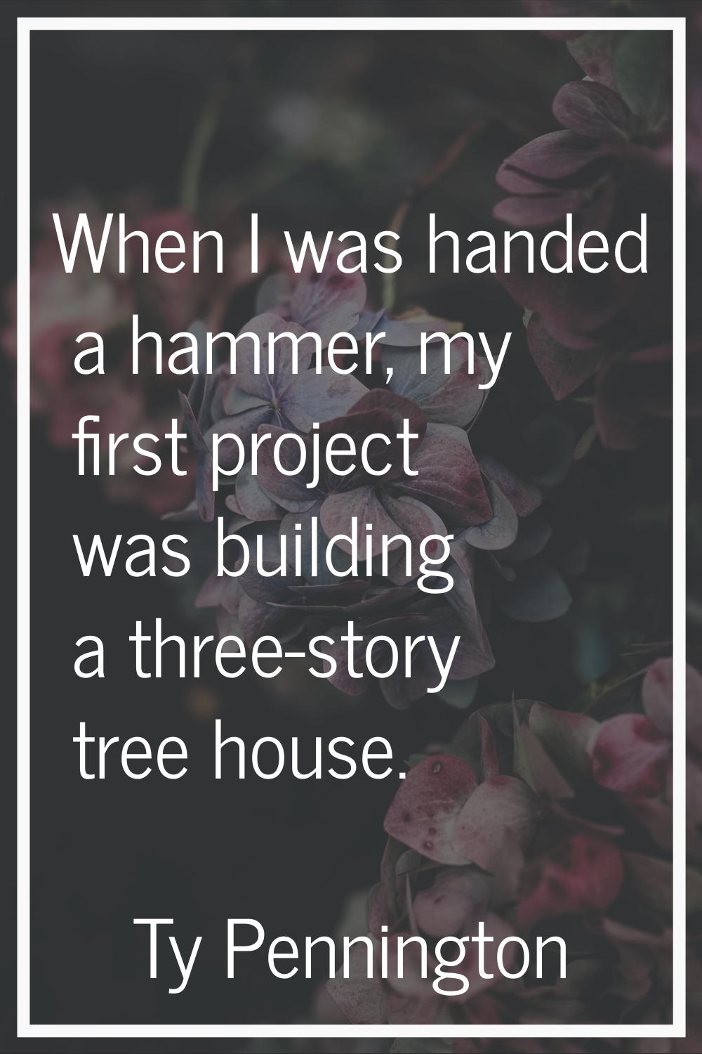 When I was handed a hammer, my first project was building a three-story tree house.