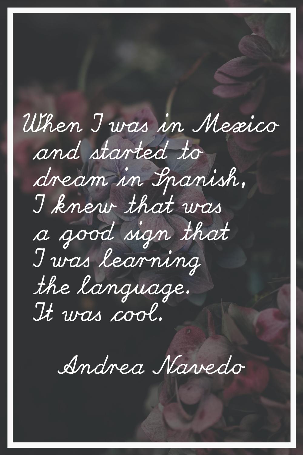 When I was in Mexico and started to dream in Spanish, I knew that was a good sign that I was learni