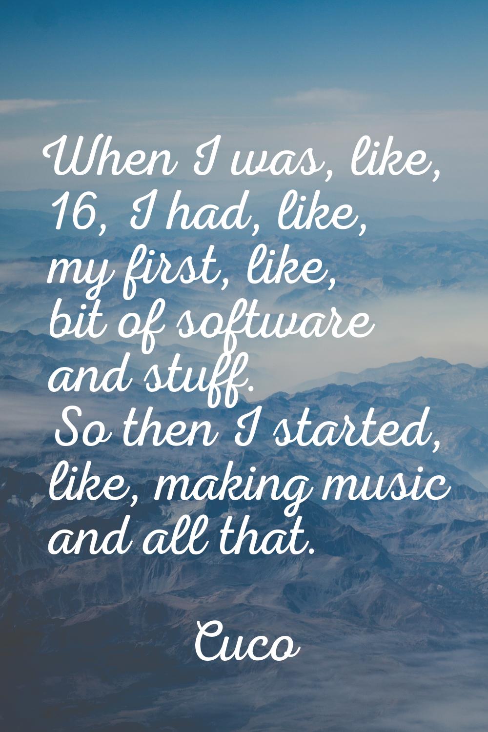When I was, like, 16, I had, like, my first, like, bit of software and stuff. So then I started, li