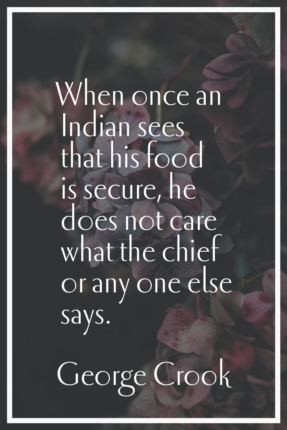 When once an Indian sees that his food is secure, he does not care what the chief or any one else s