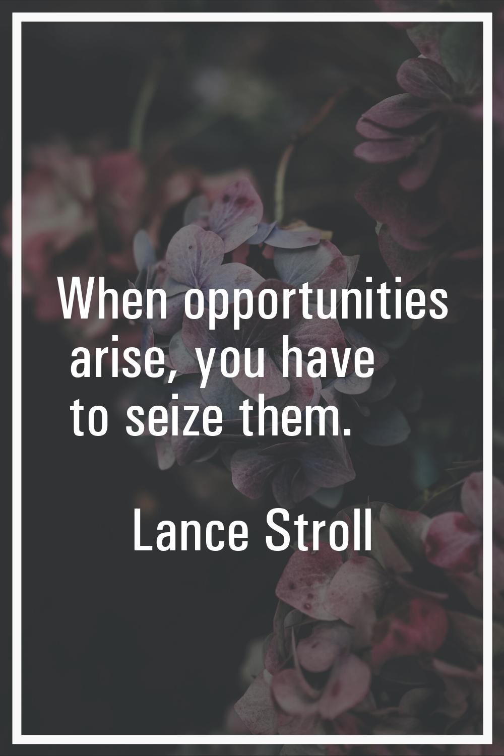 When opportunities arise, you have to seize them.