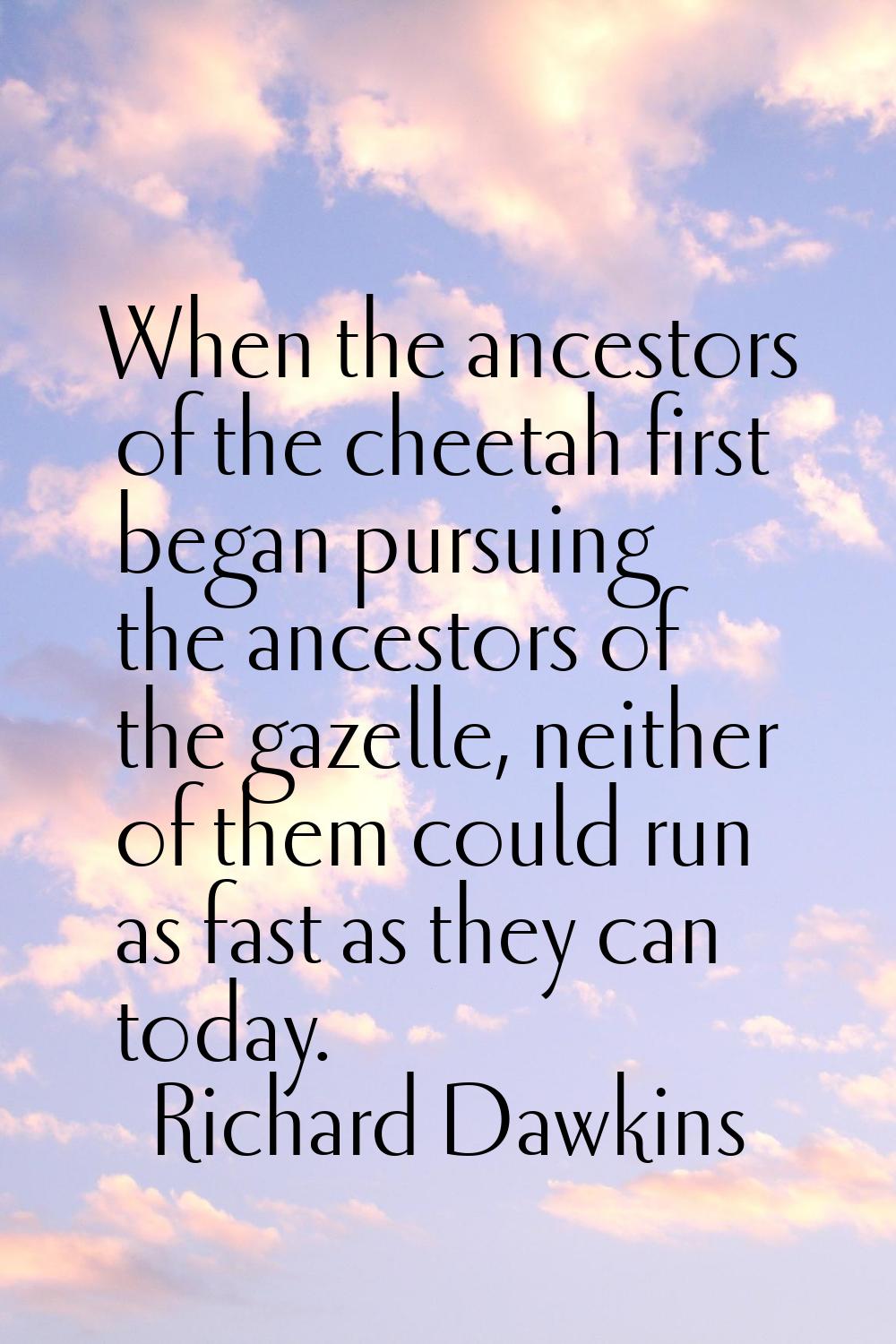 When the ancestors of the cheetah first began pursuing the ancestors of the gazelle, neither of the