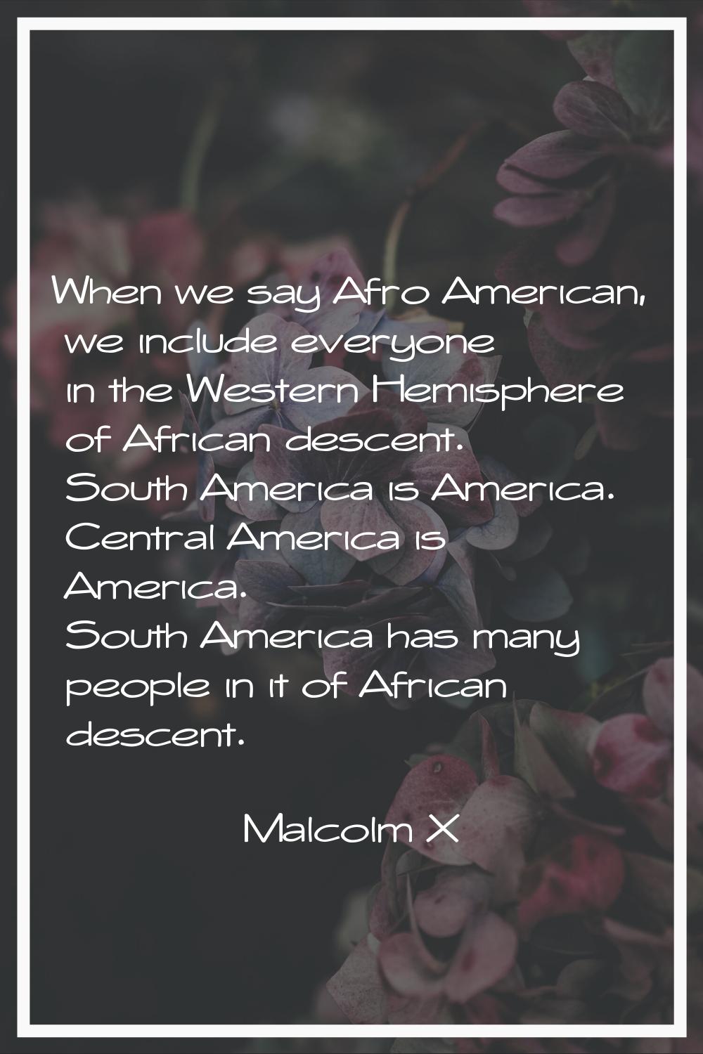 When we say Afro American, we include everyone in the Western Hemisphere of African descent. South 