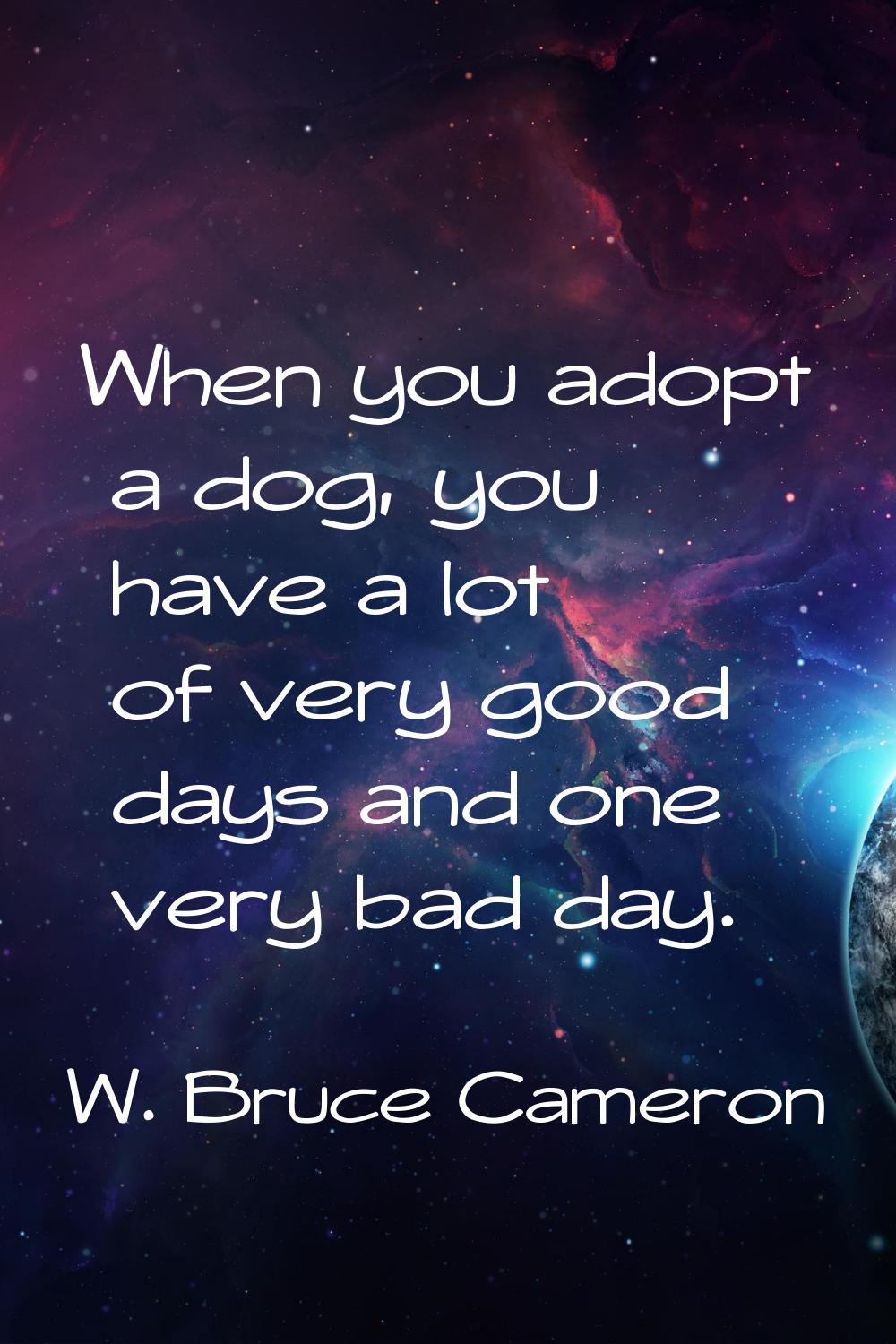 When you adopt a dog, you have a lot of very good days and one very bad day.