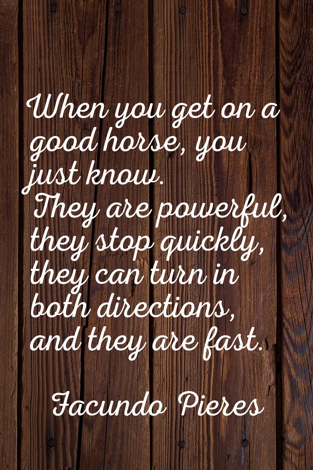 When you get on a good horse, you just know. They are powerful, they stop quickly, they can turn in